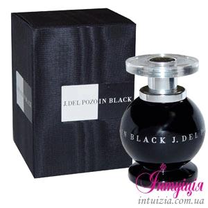 Женская парфюмерия JESUS DEL POZO IN BLACK