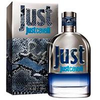 Мужская парфюмерия ROBERTO CAVALLI ROBERTO CAVALLI JUST him 2013