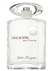 Мужская парфюмерия SALVATORE FERRAGAMO FERRAGAMO INCANTO POUR HOMME